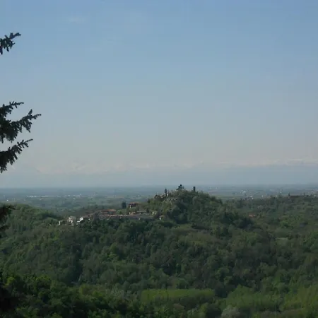 Martelletti Cocconato