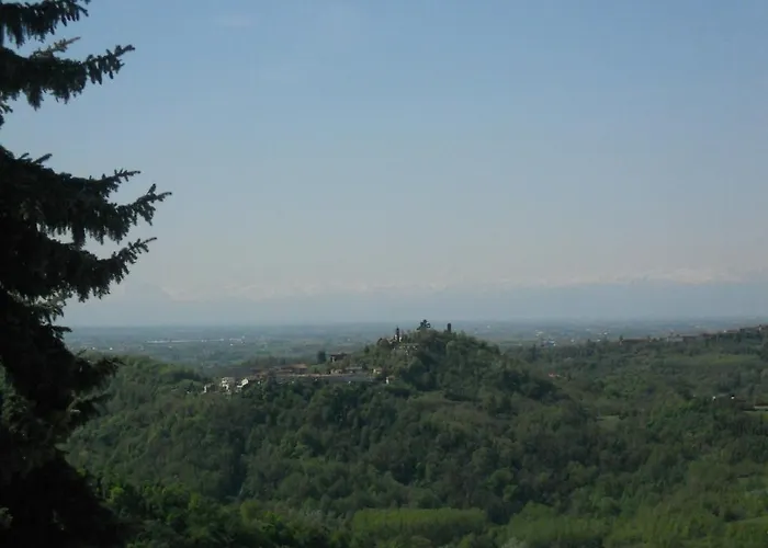 Martelletti Cocconato